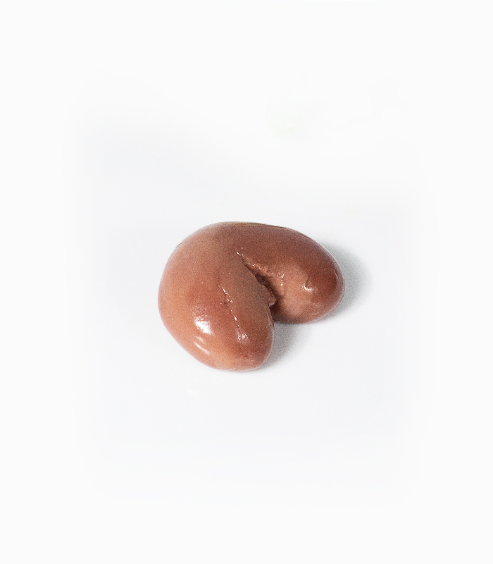 RB-Rognon-700x800
